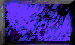 BTN04404.GIF (3KB)