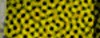 BTN04215.GIF (3KB)