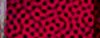 BTN04313.GIF (3KB)
