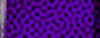 BTN04411.GIF (3KB)