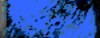 BTN04453.GIF (3KB)