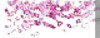 BTN04529.GIF (2KB)