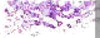 BTN04629.GIF (3KB)