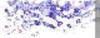 BTN04729.GIF (3KB)