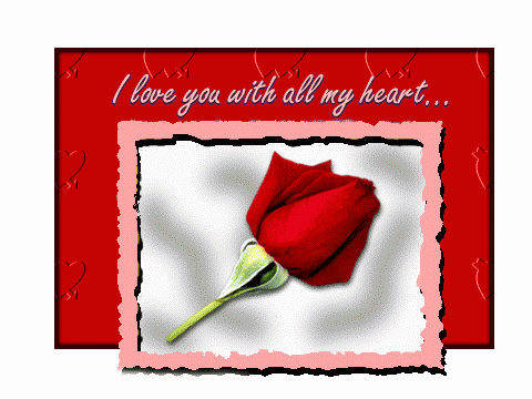 Roses , but for whom ? you decide | الصفحة  30