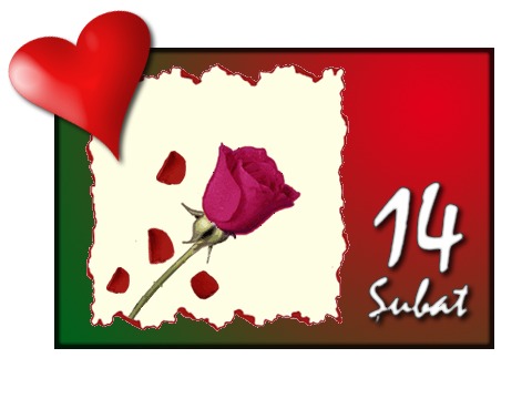 Roses , but for whom ? you decide | الصفحة  29