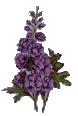 fl6a.gif (5KB)