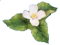 flow1.gif (6KB)
