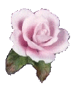 fw2a.gif (7KB)