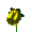 yellowSmCLR.gif (2KB)
