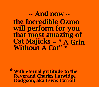 Cat-Magic.gif (39KB)