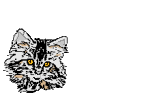 bekind.gif (7KB)