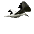 birdTran.gif (4KB)