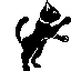 cat.gif (6KB)