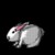 tavsan.gif (2KB)