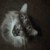tinaeyes.gif (14KB)