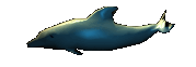 yunus_2.gif (4KB)