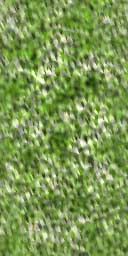 biomass.jpg (14KB)