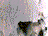 sp015.gif (2KB)
