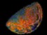 sp020.gif (2KB)